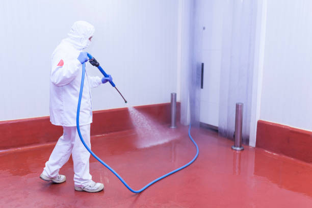 Trusted Indian Mountain Lake, PA Pressure Washing Services Experts